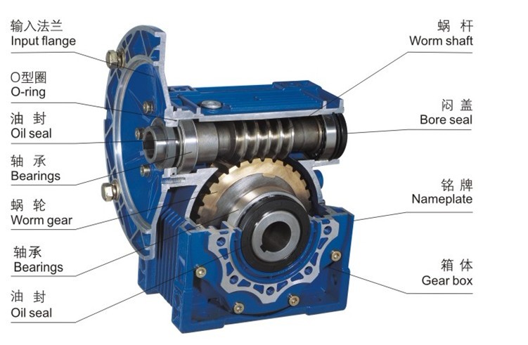 蝸桿減速機截面圖 蝸桿減速機截面圖
