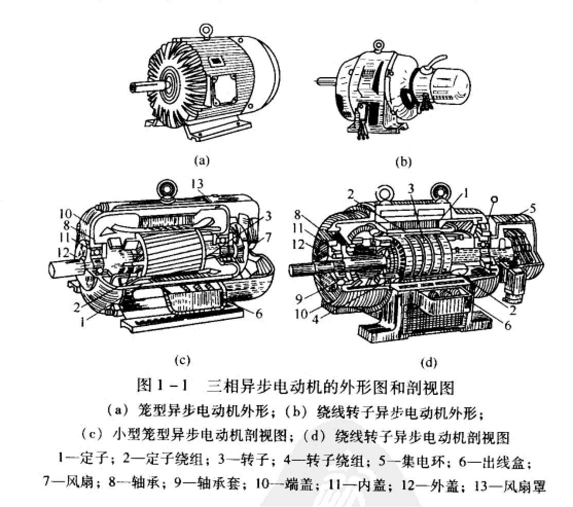 異步電動機的基本結(jié)構(gòu) 異步電動機的基本結(jié)構(gòu)