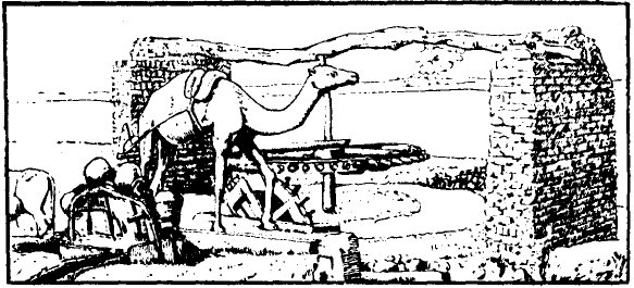 減速馬達齒輪發展史 減速馬達齒輪發展史