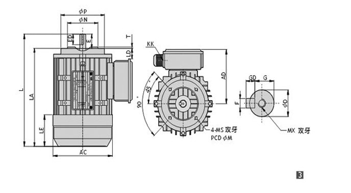 永元立式三相普通電機圖紙