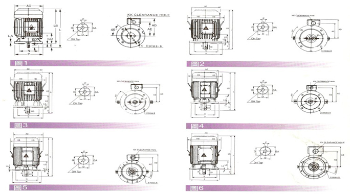 東元立式三相普通馬達詳細圖 東元立式三相普通馬達詳細圖